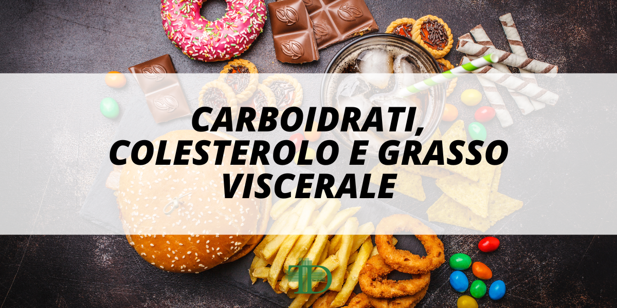 BLOG 4 - Carboidrati, Colesterolo e Grasso Viscerale