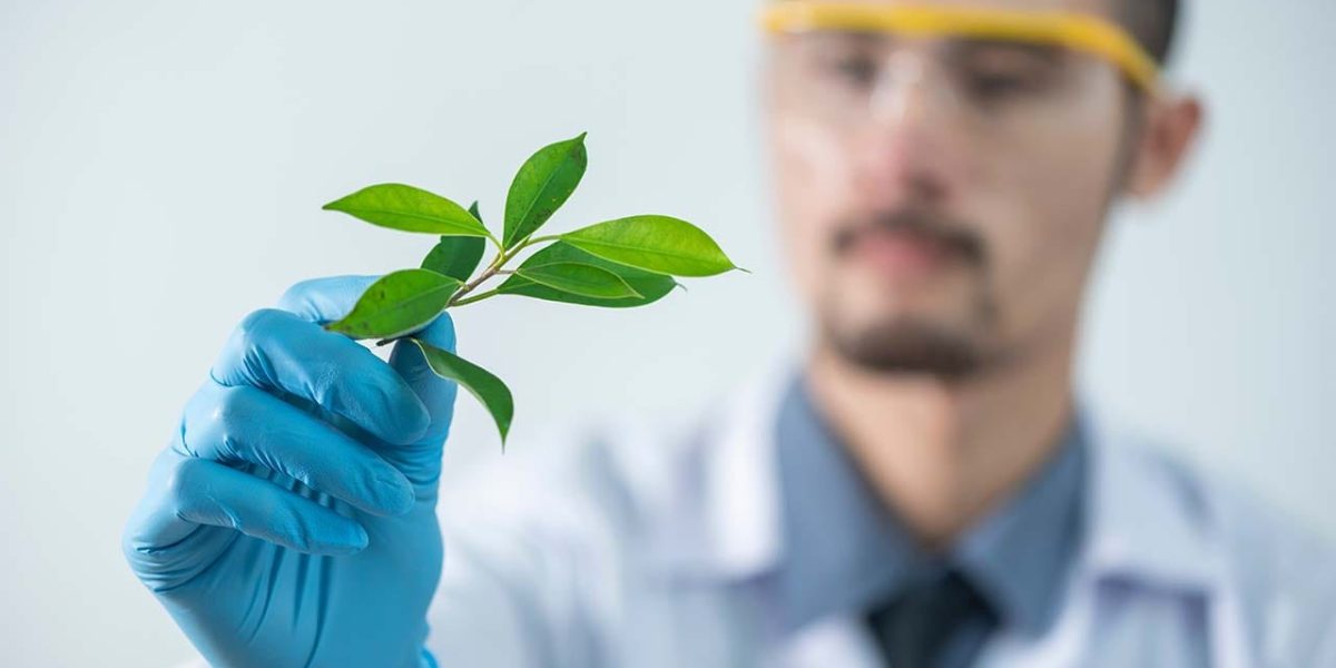 laboratorio galenico officinale