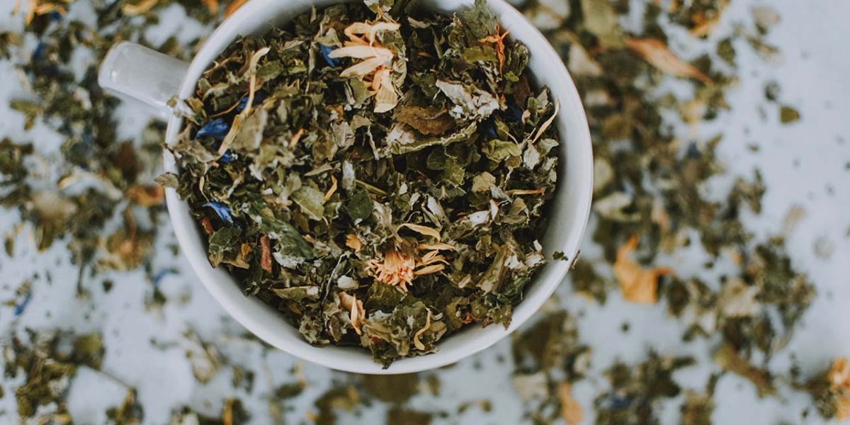 tè e tisane officinali per il tuo benessere